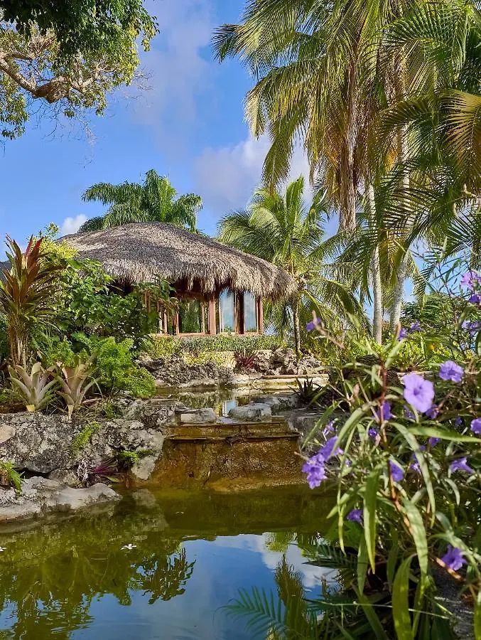 Boutique Hotel Catalina Tropical Lodge Кабрера 4*,